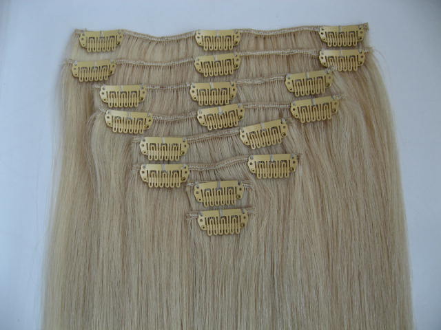 Clip-in Hair Extension 